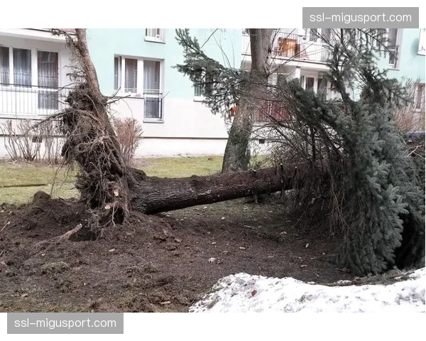 天气因素：周末兰斯地区大风，可能影响比赛传中质量